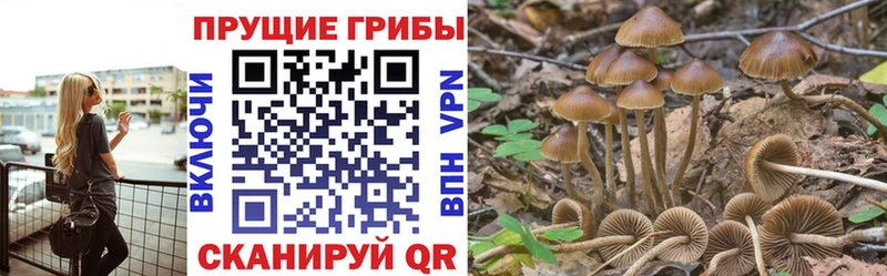 Псилоцибиновые грибы Magic Shrooms  ОМГ ОМГ маркетплейс  Любим 