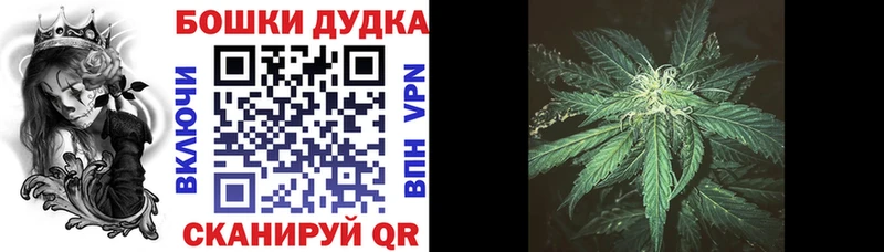 Каннабис Bruce Banner Любим